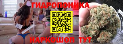 spice Обь