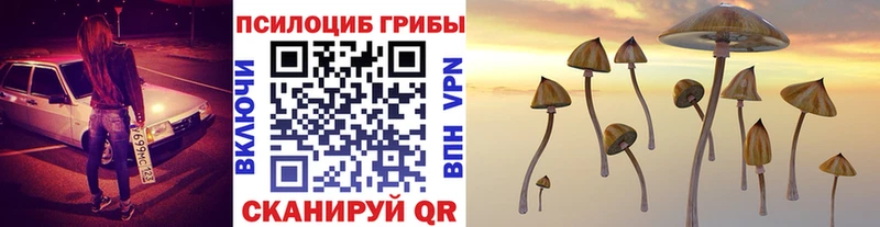 где найти наркотики  Шумерля  Псилоцибиновые грибы Cubensis 