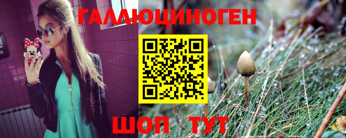 Псилоцибиновые грибы MAGIC MUSHROOMS Шумерля