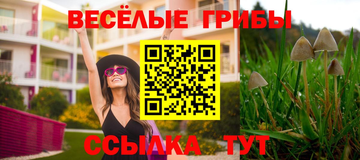 Галлюциногенные грибы Cubensis Шумерля