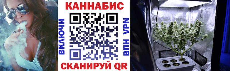 Бошки Шишки гибрид  купить наркотики сайты  Шумерля 